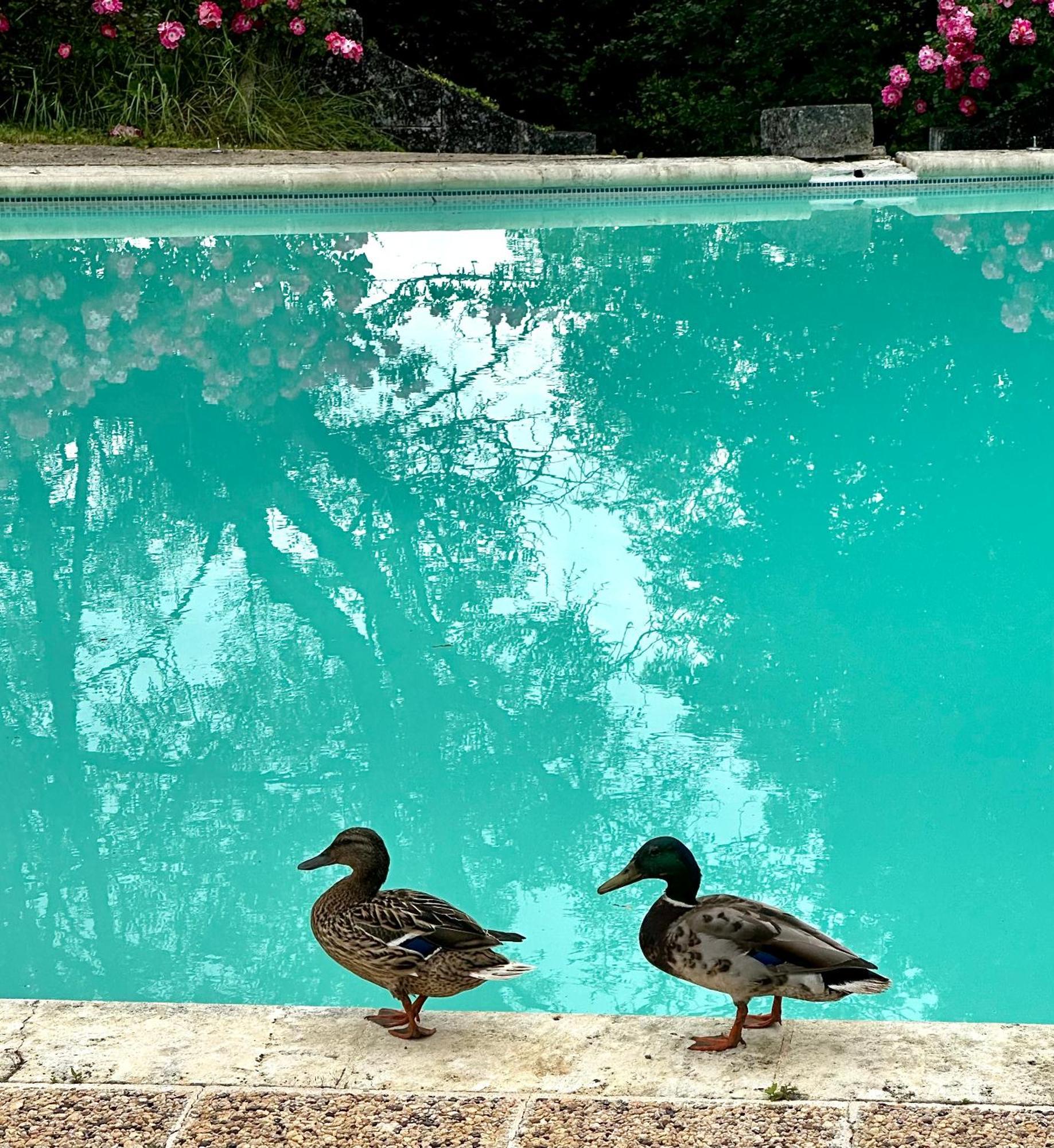 Le Chatenet 1689 Brantôme Екстериор снимка